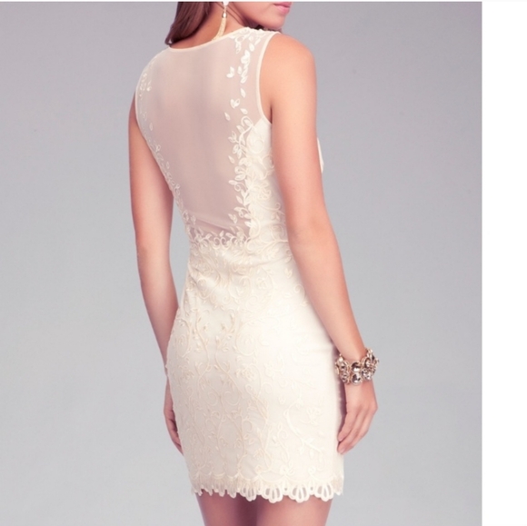 Cream Bebe Lace Embroidered Sheer Back Cocktail Dress - Picture 5 of 6